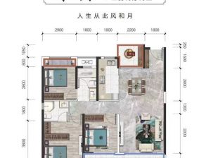 常德-武陵区金科天宸为您提供印月户型鉴赏