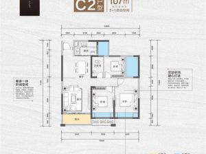 常德-鼎城区长安九里为您提供C2户型鉴赏