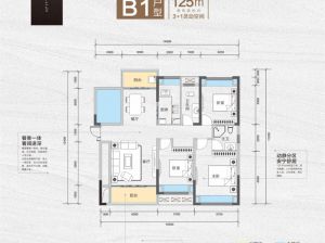 常德-鼎城区长安九里为您提供B1户型鉴赏